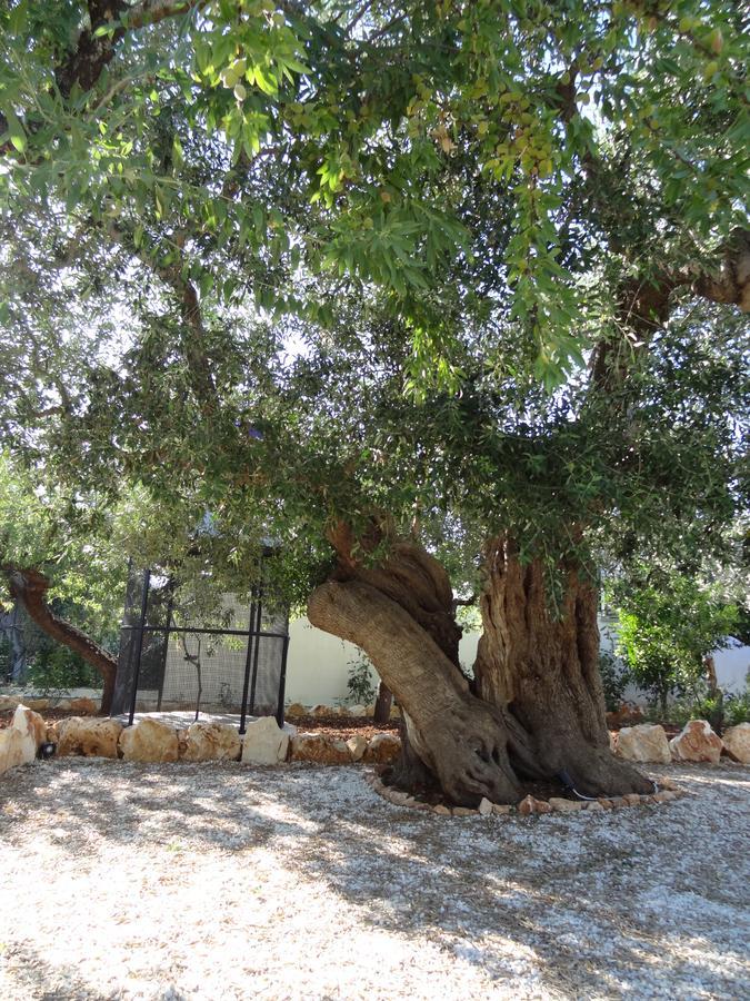 L'Antico Casolare Bed and Breakfast Castellana Grotte Buitenkant foto